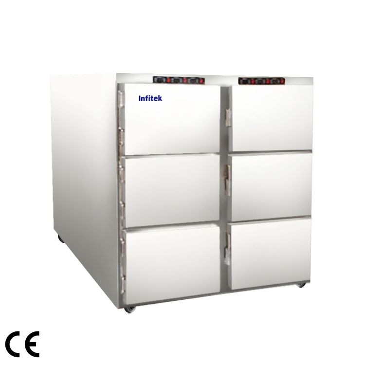 Réfrigérateur à cadavres (classique), MCFR-6000, 6 cadavres