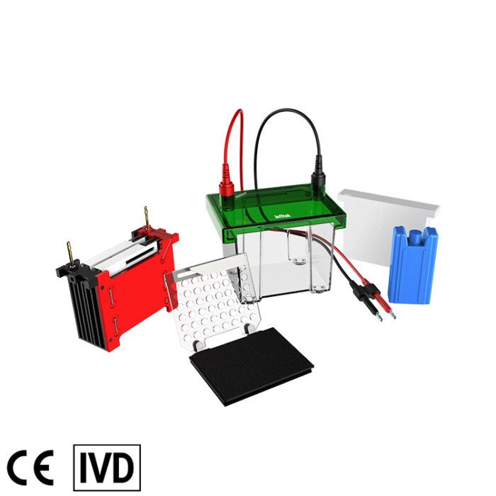 Mini cuve d'électrophorèse par transfert, GEP-TH-ZY02